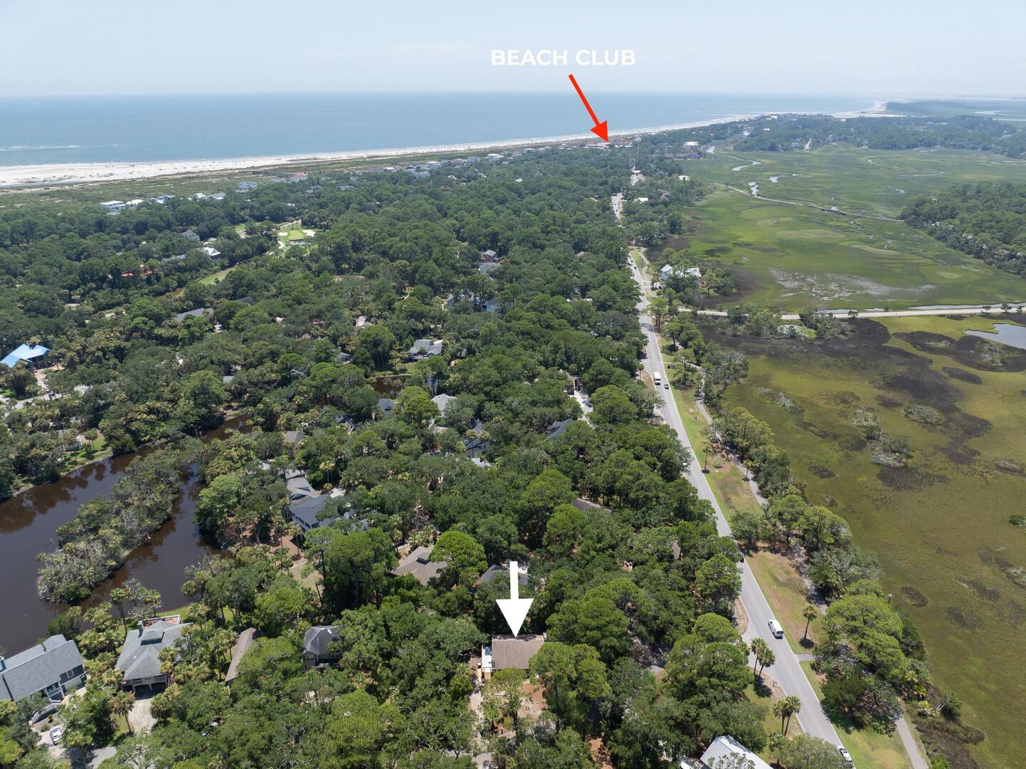 101 Sea Otter | Photo 56