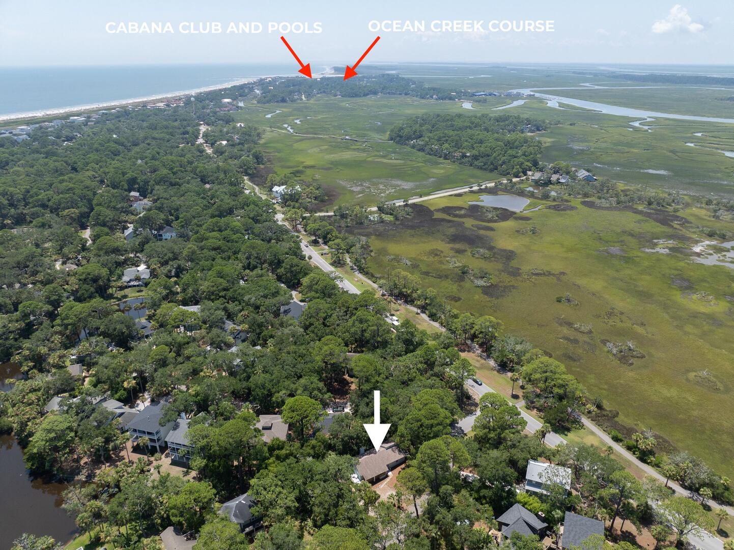 101 Sea Otter | Photo 53