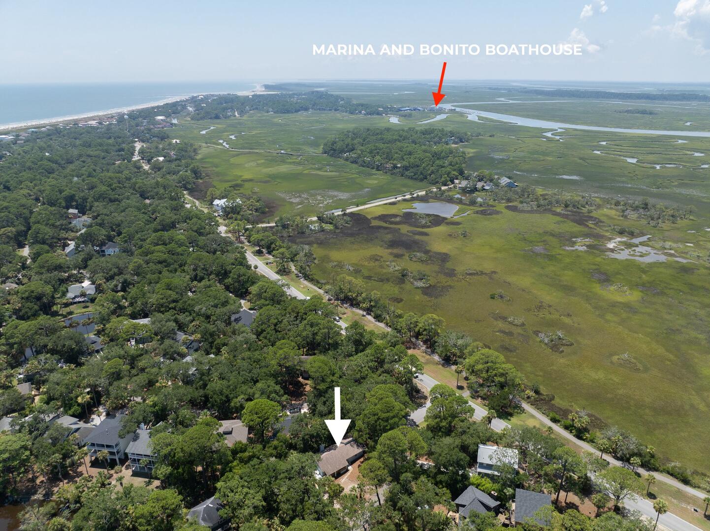 101 Sea Otter | Photo 52