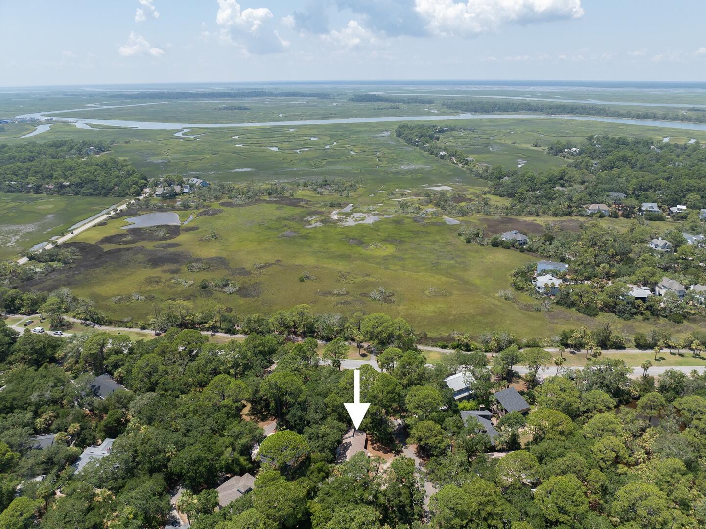 101 Sea Otter | Photo 51