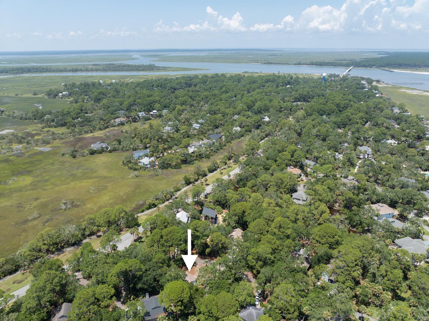 101 Sea Otter | Photo 50