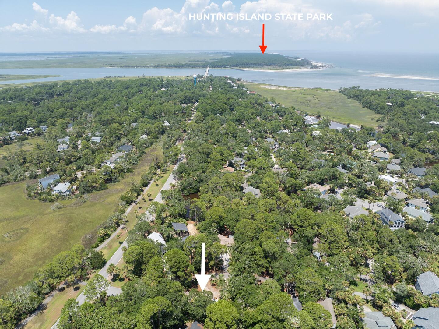 101 Sea Otter | Photo 49