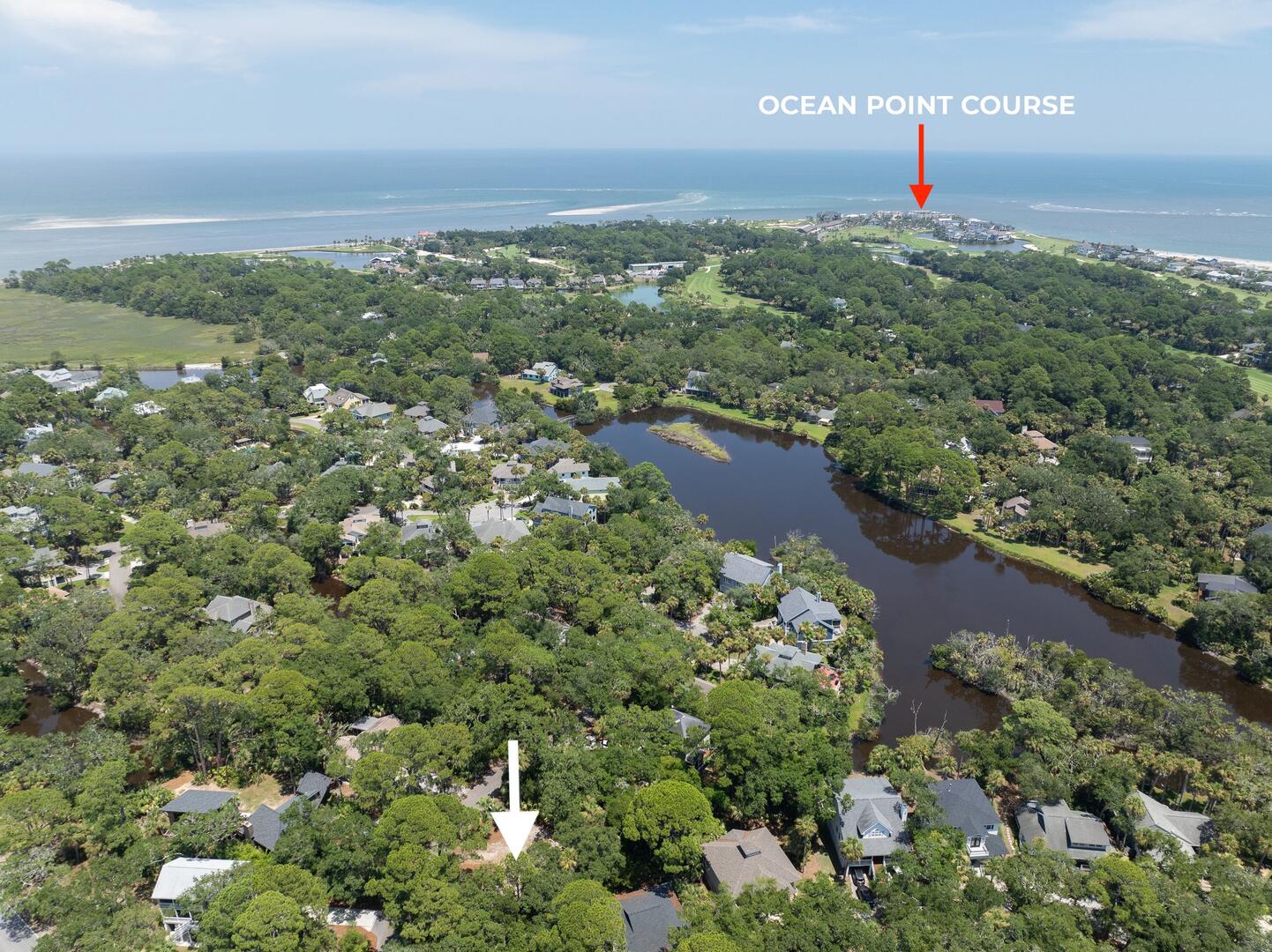 101 Sea Otter | Photo 48