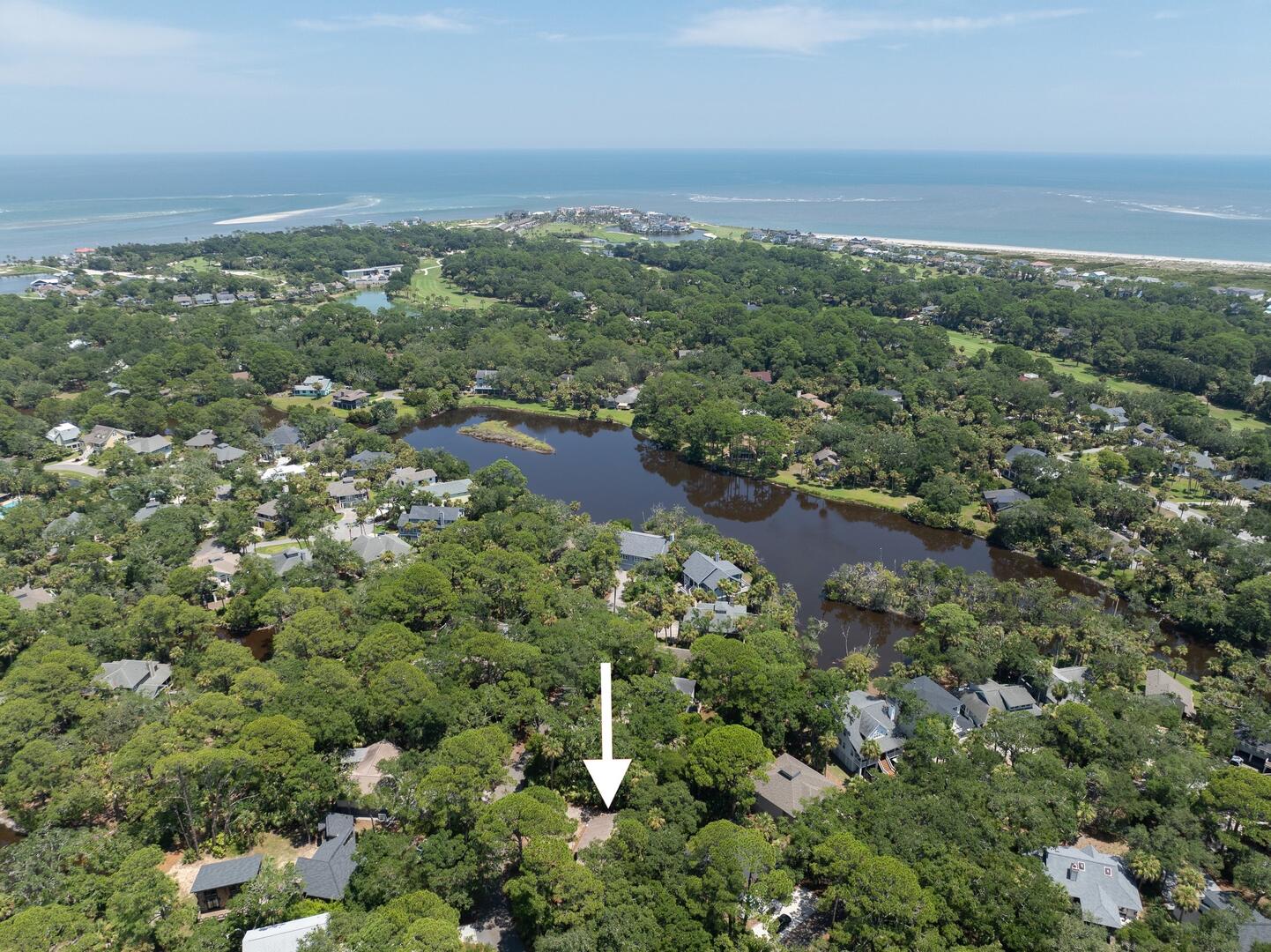 101 Sea Otter | Photo 47