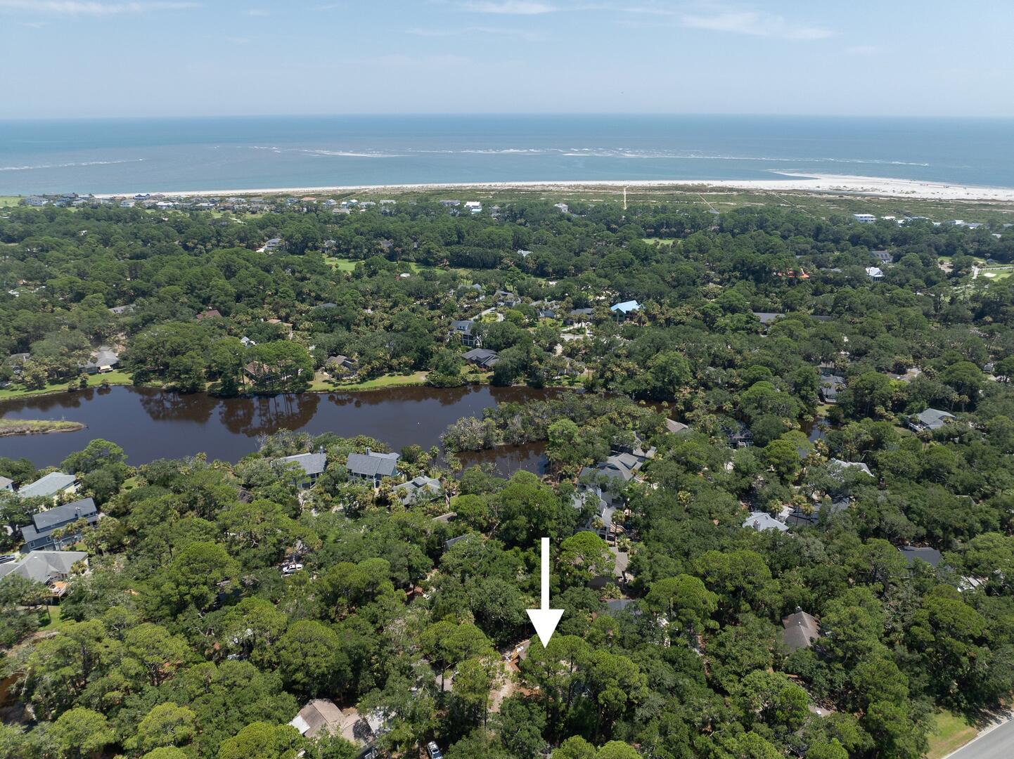 101 Sea Otter | Photo 46