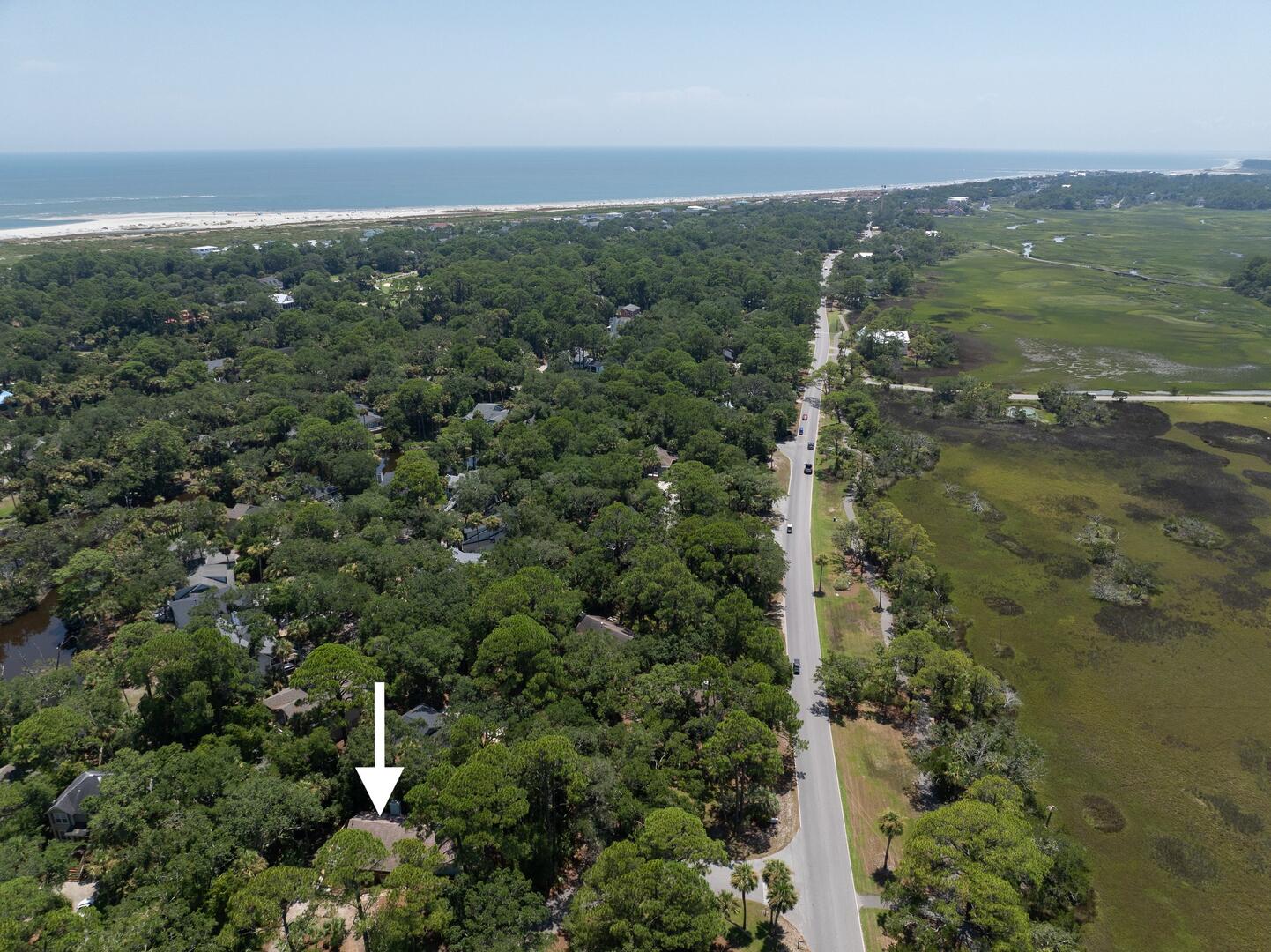 101 Sea Otter | Photo 45