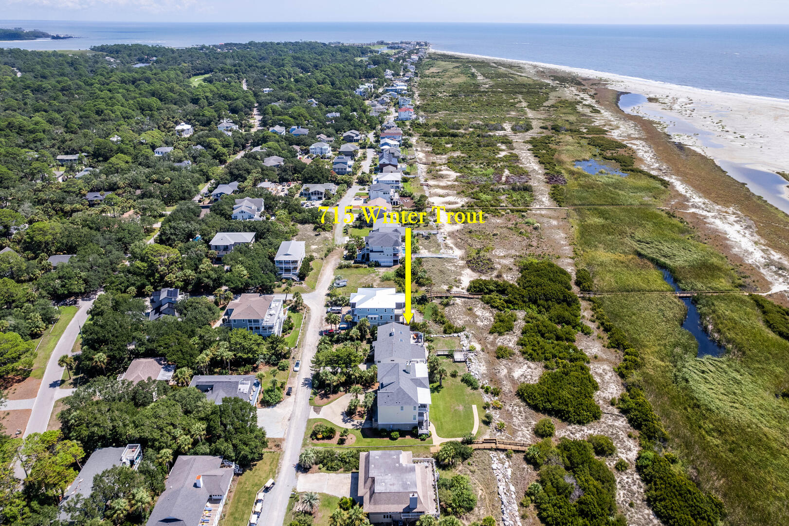 715 Winter Trout | Photo 61