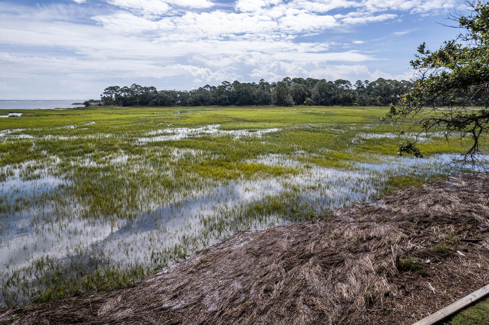 111 Cardinal Crest | Photo 51