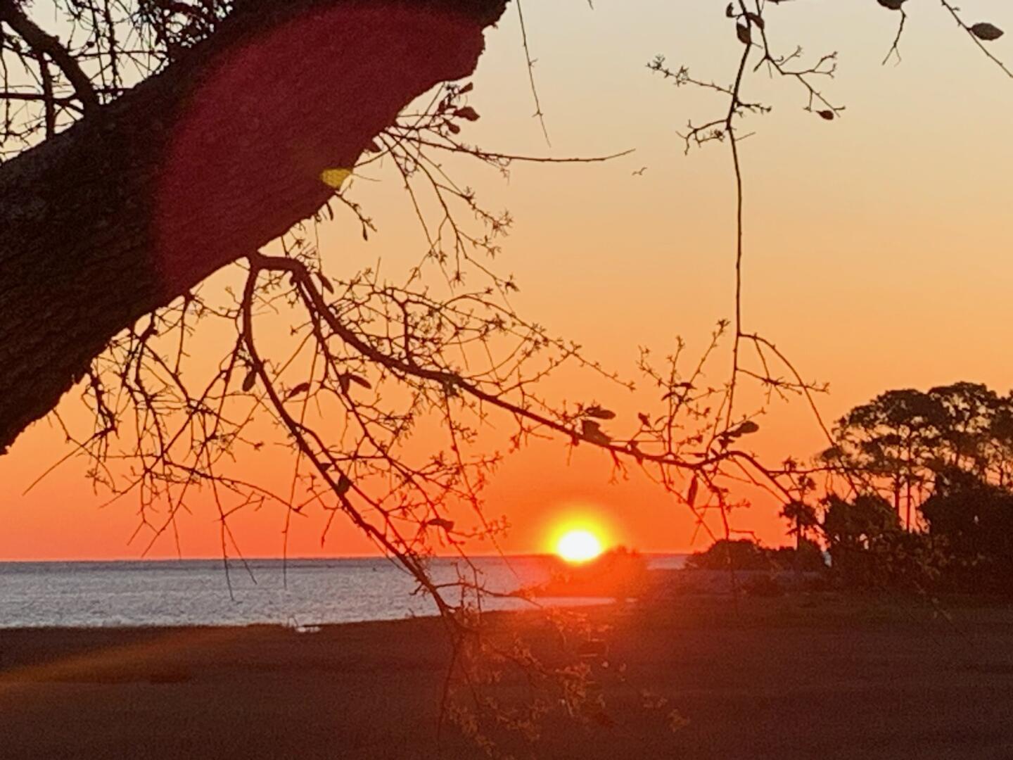 111 Cardinal Crest | Photo 39