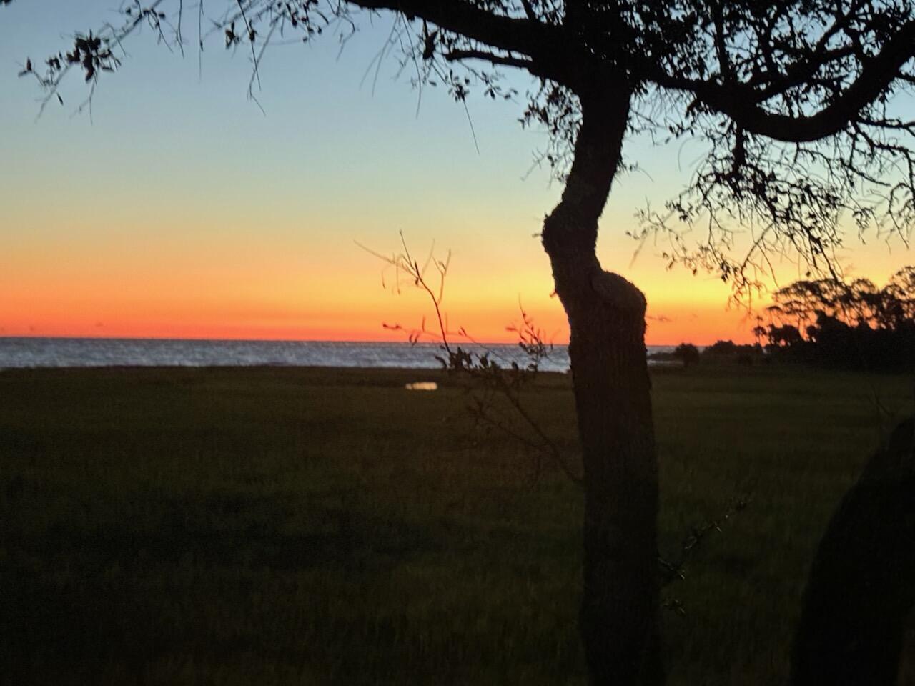 111 Cardinal Crest | Photo 41