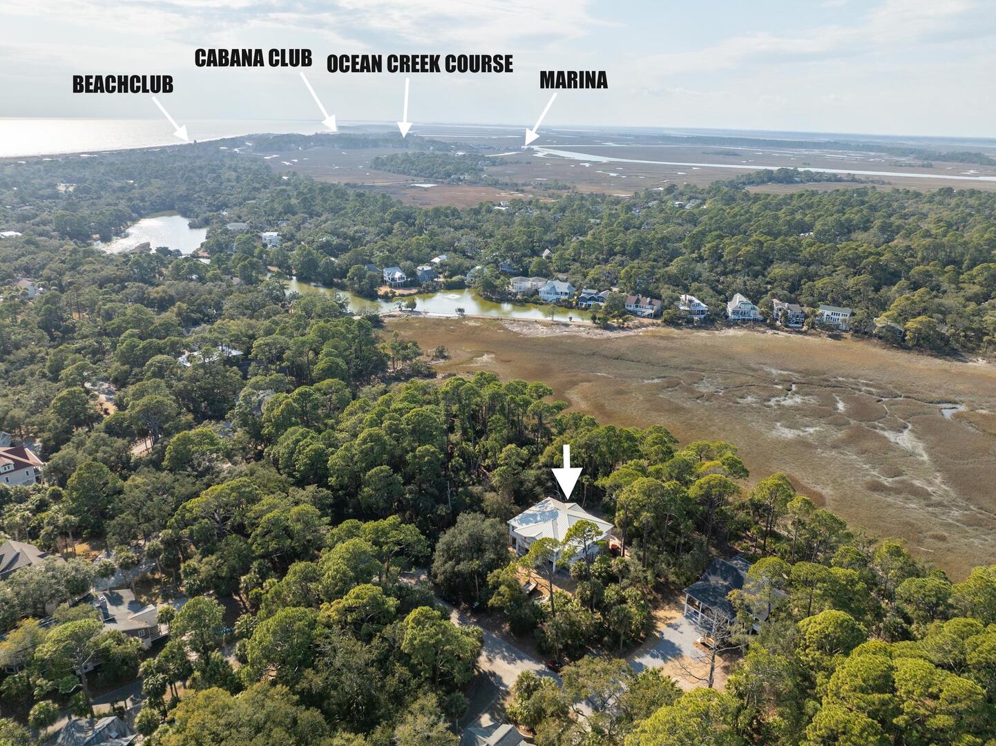 456 Porpoise | Photo 65