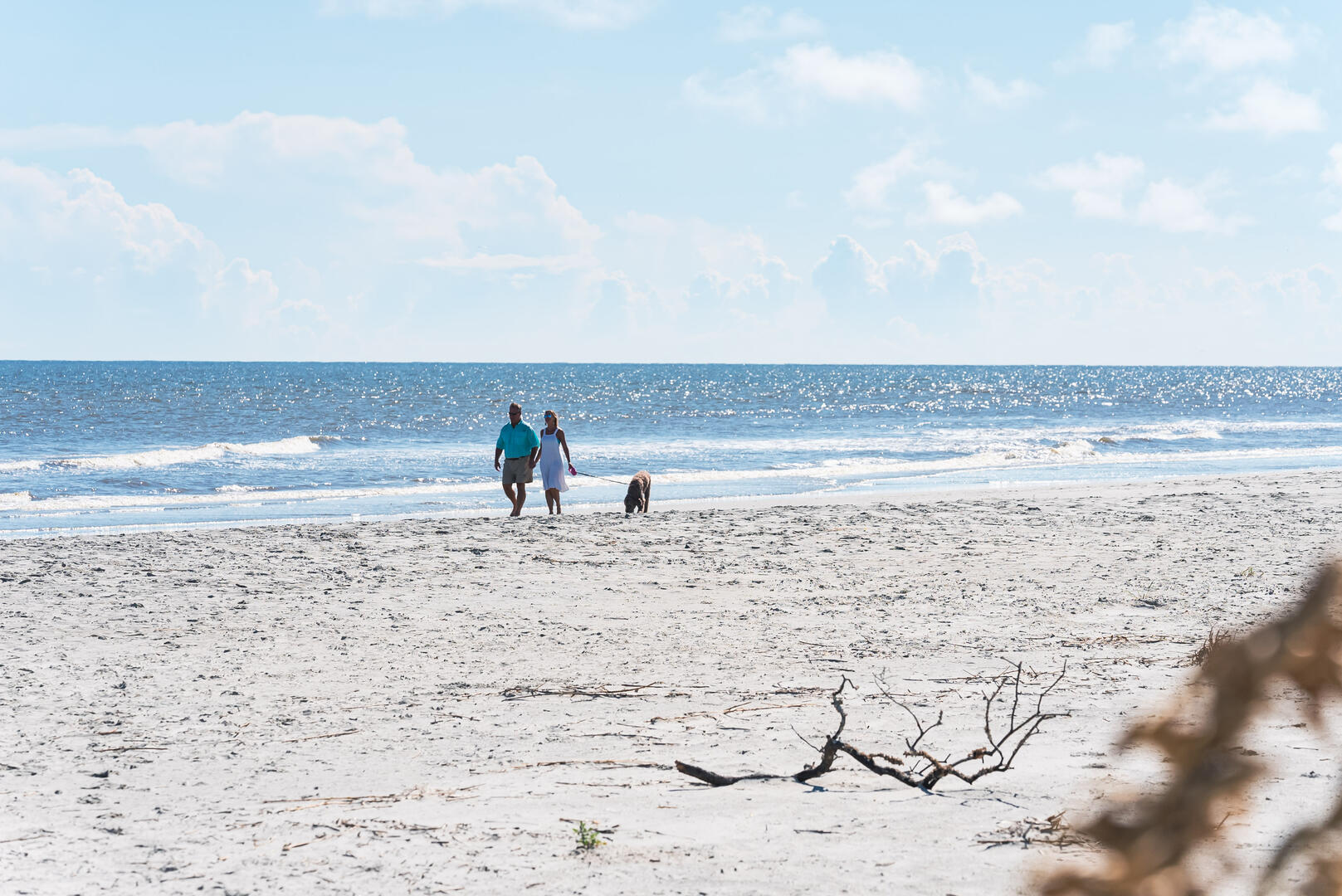 401 Wahoo | Photo 86