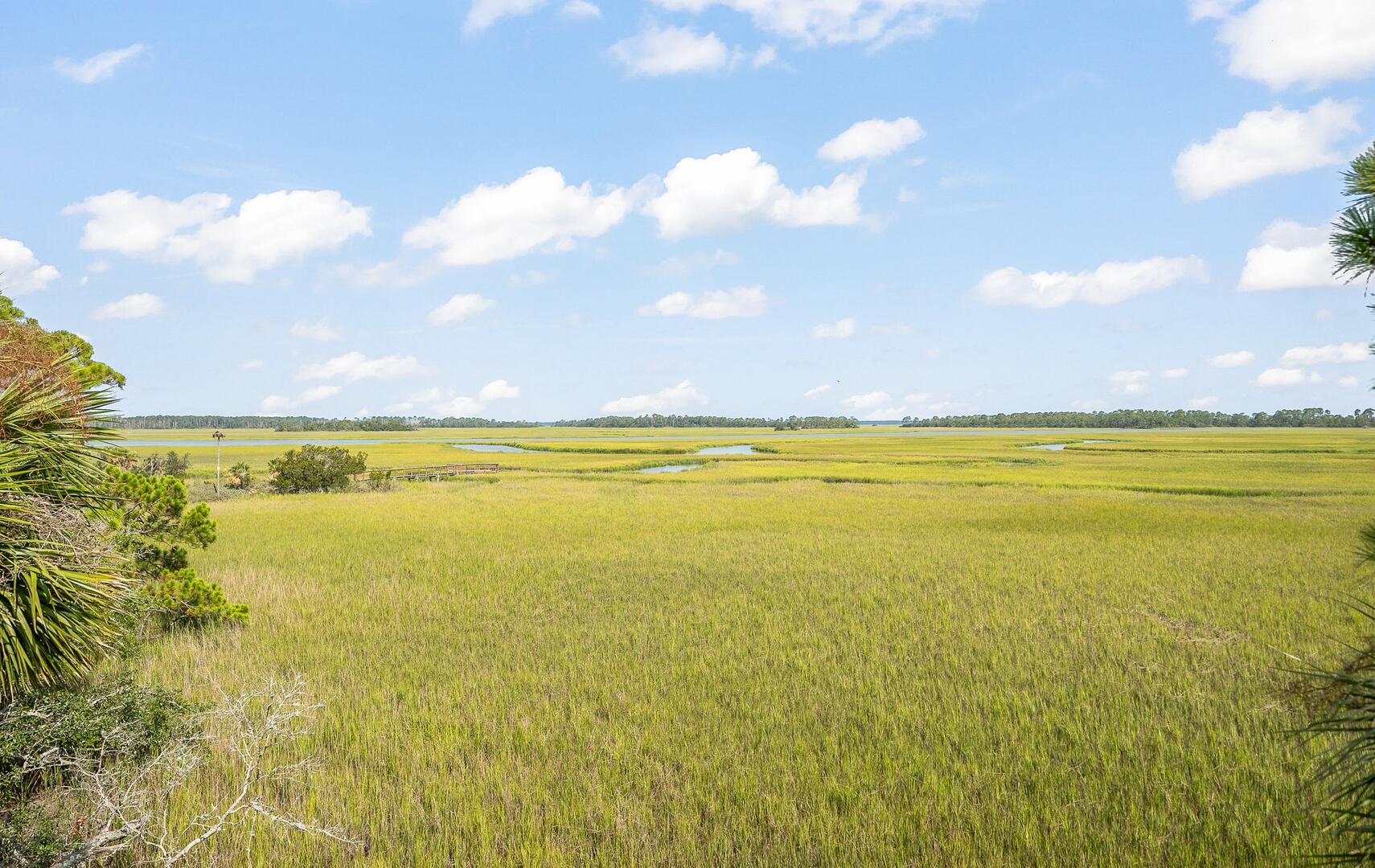 913 Marsh Dunes | Photo 69