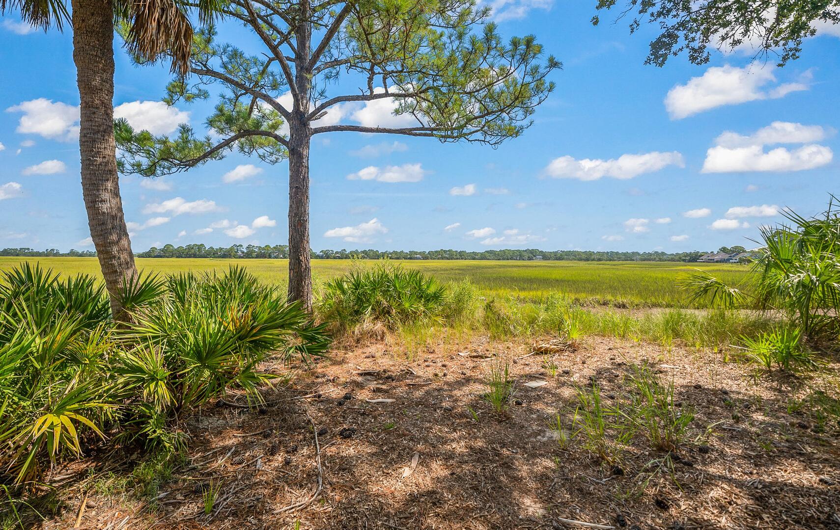 913 Marsh Dunes | Photo 67