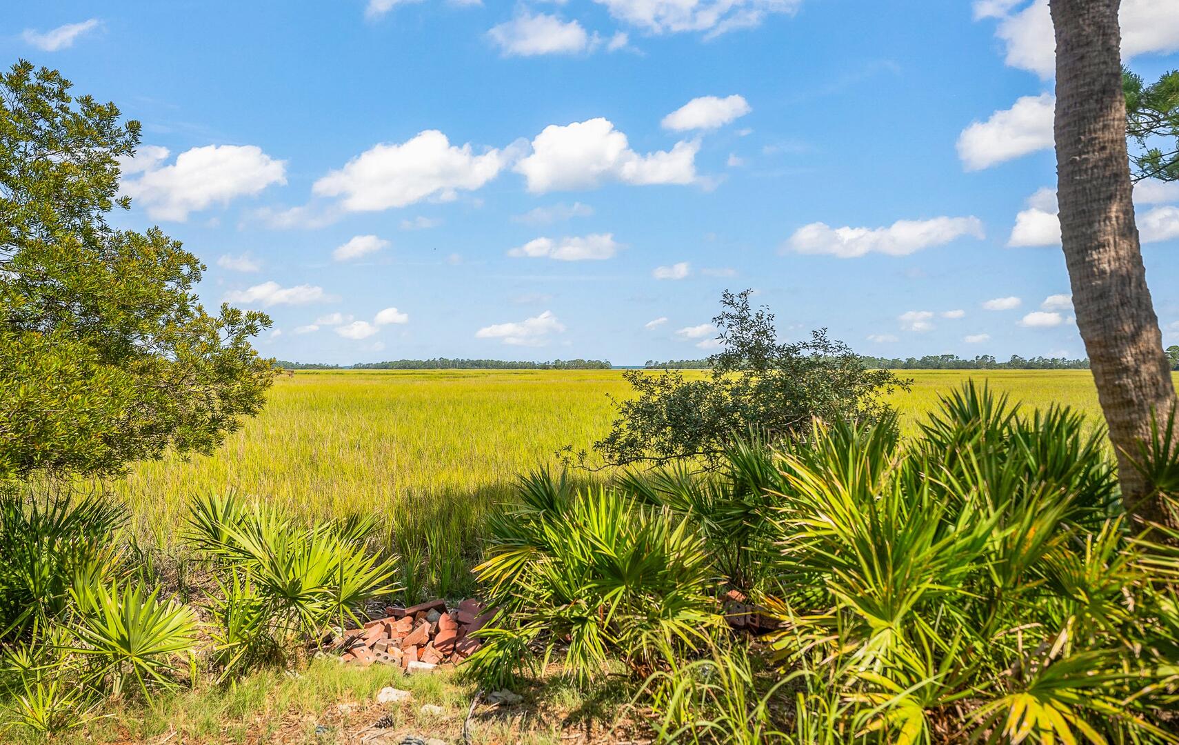 913 Marsh Dunes | Photo 68