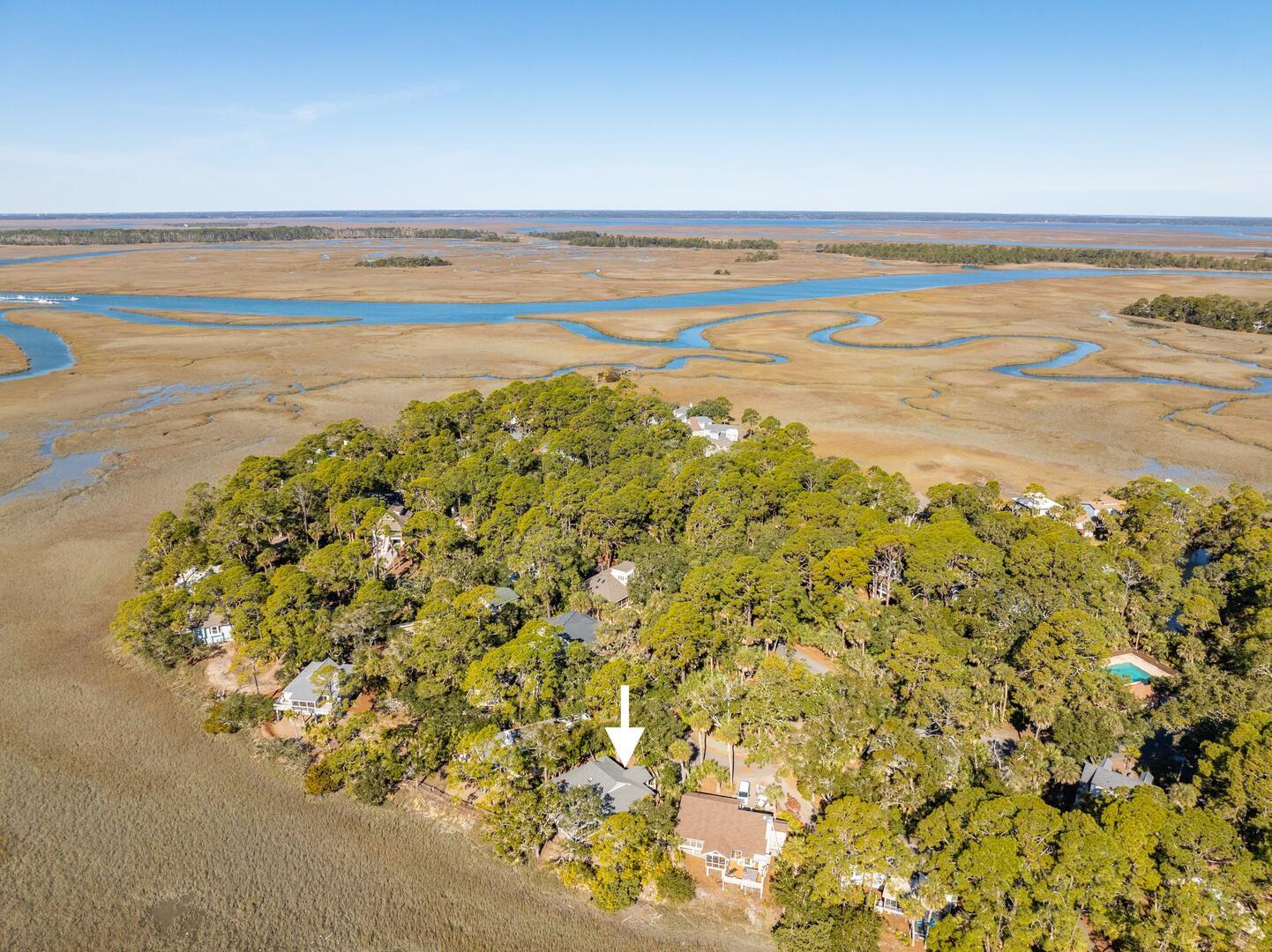 864 Sabal | Photo 14