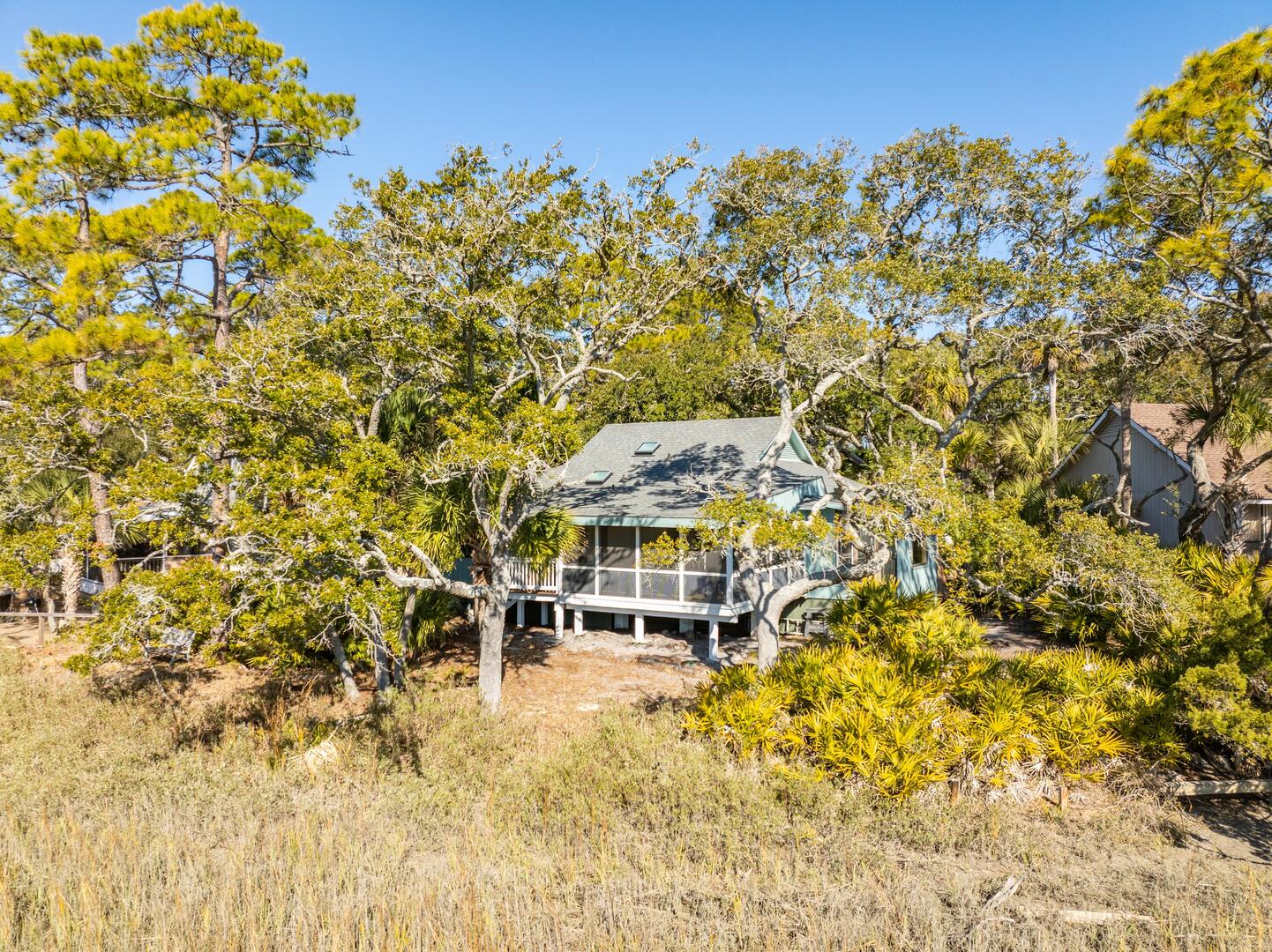 864 Sabal | Photo 10