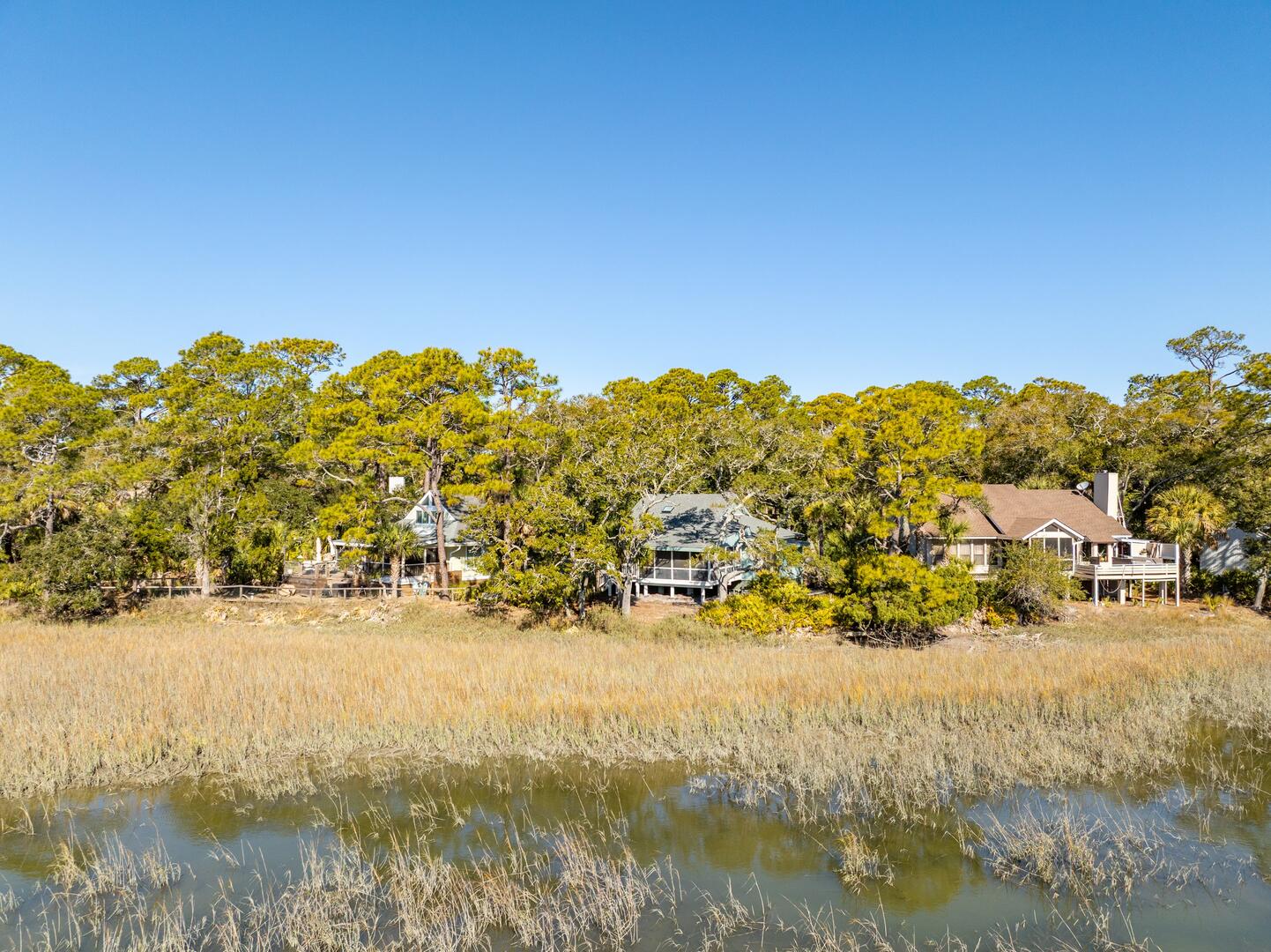 864 Sabal | Photo 12