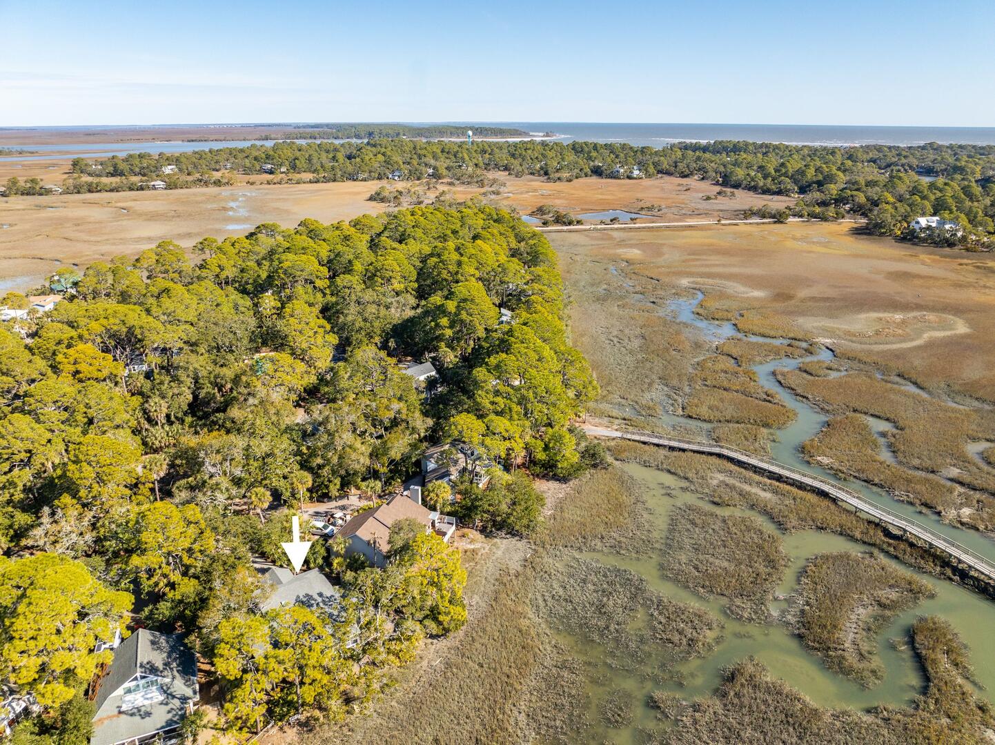 864 Sabal | Photo 15