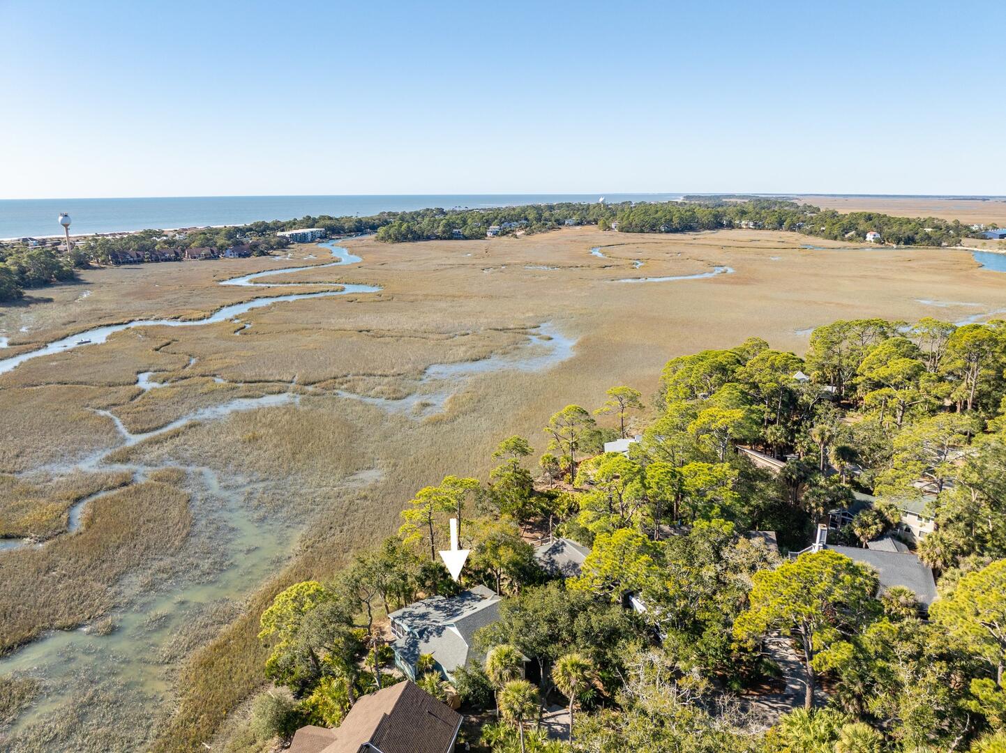 864 Sabal | Photo 16