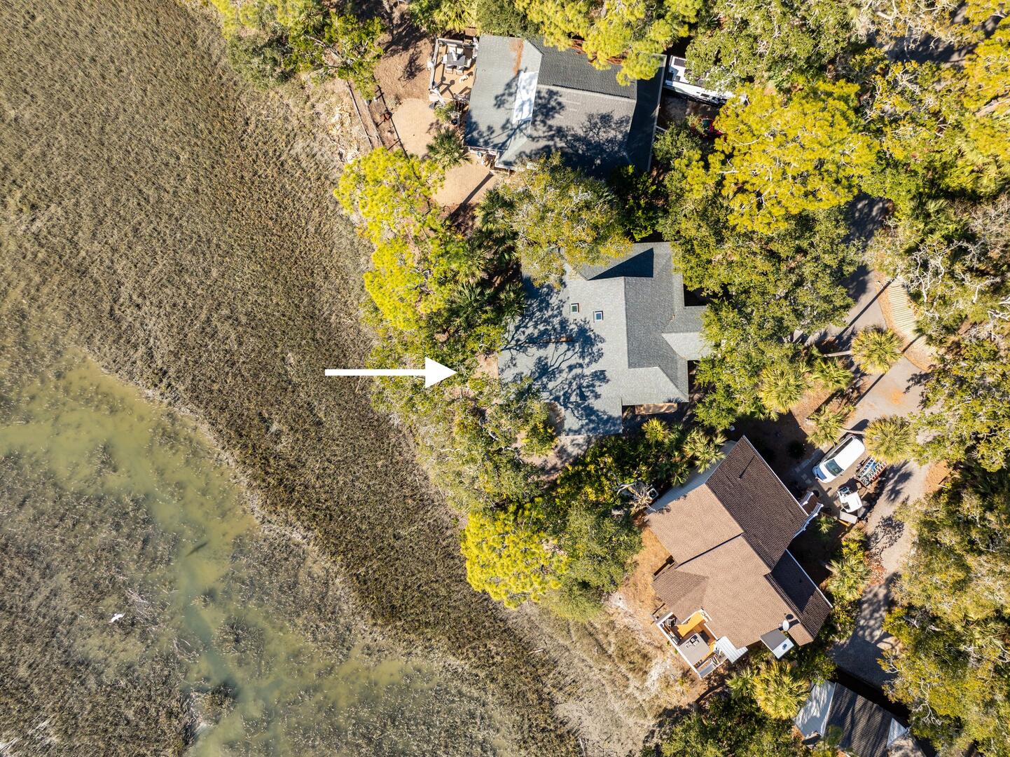 864 Sabal | Photo 13