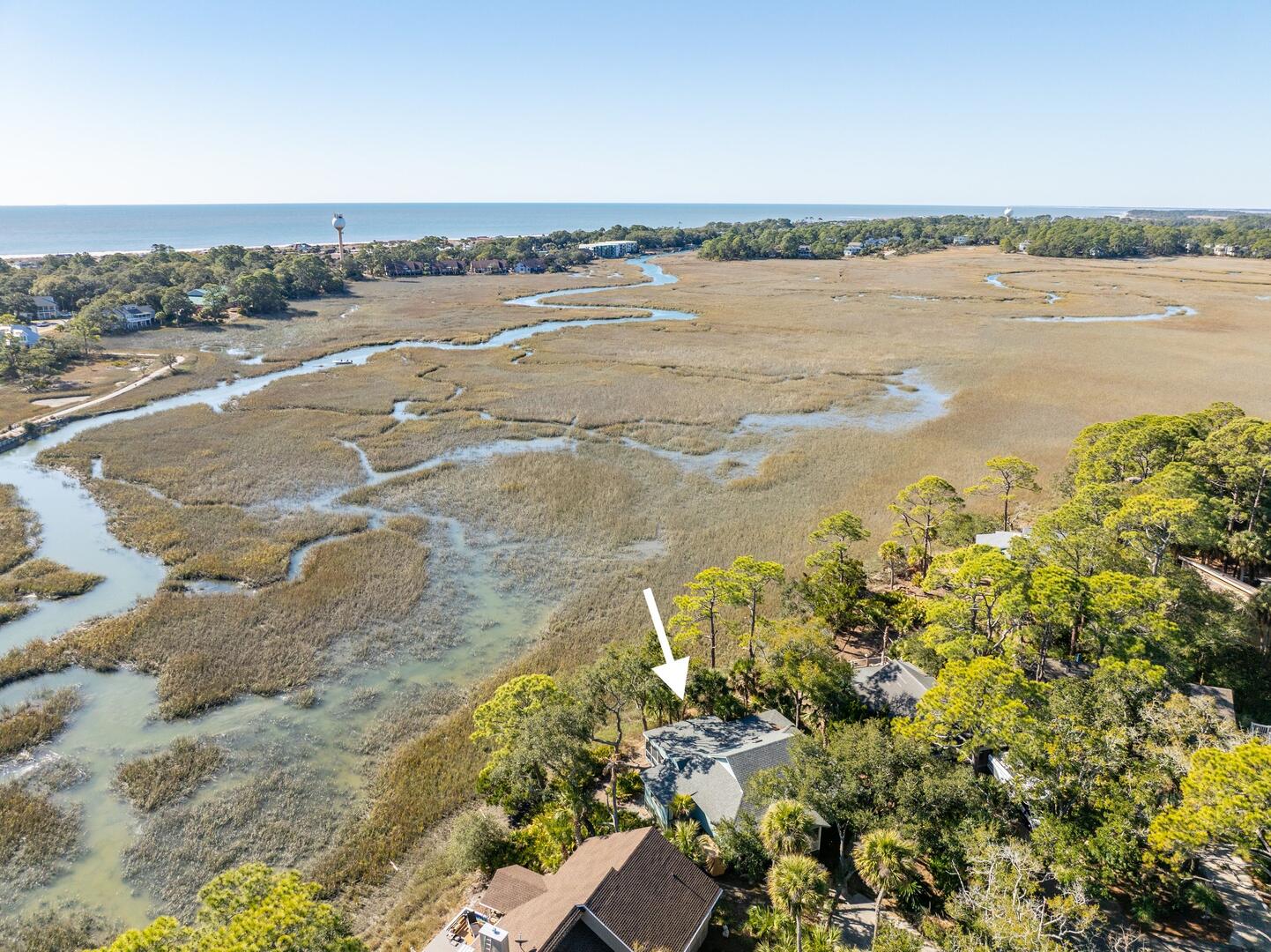 864 Sabal | Photo 17