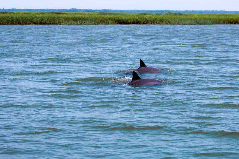 360 Wahoo Dr | Photo 63