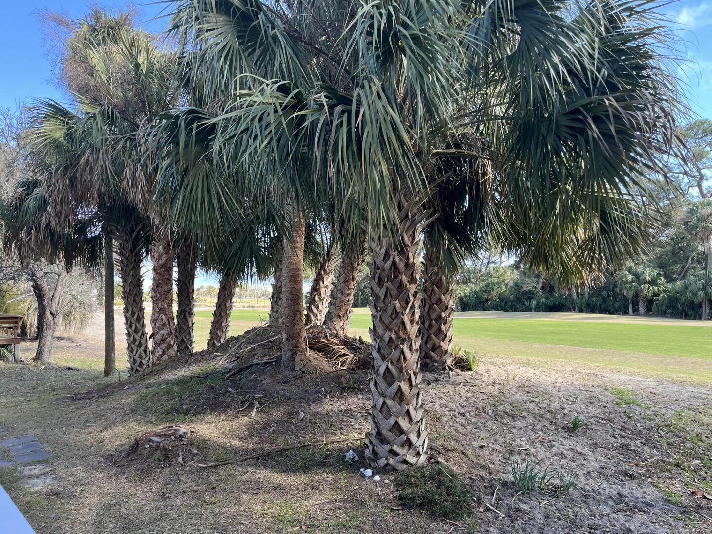 559 Remora | Photo 21