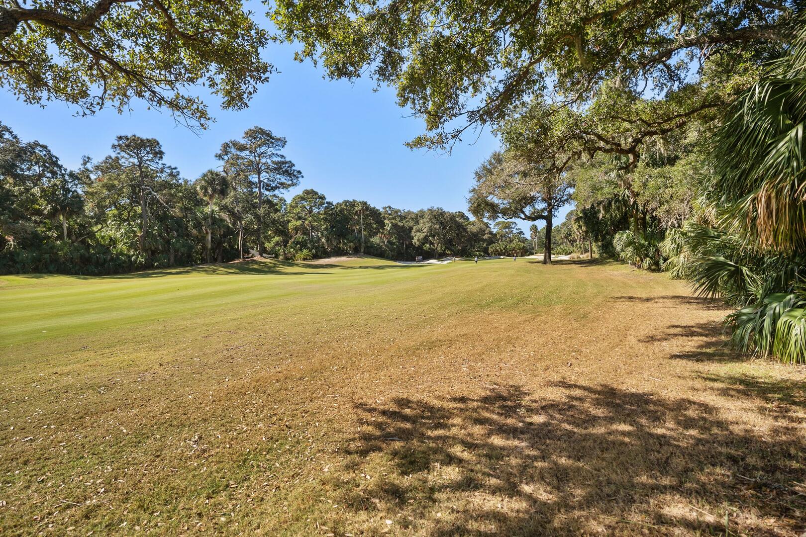 559 Remora | Photo 7