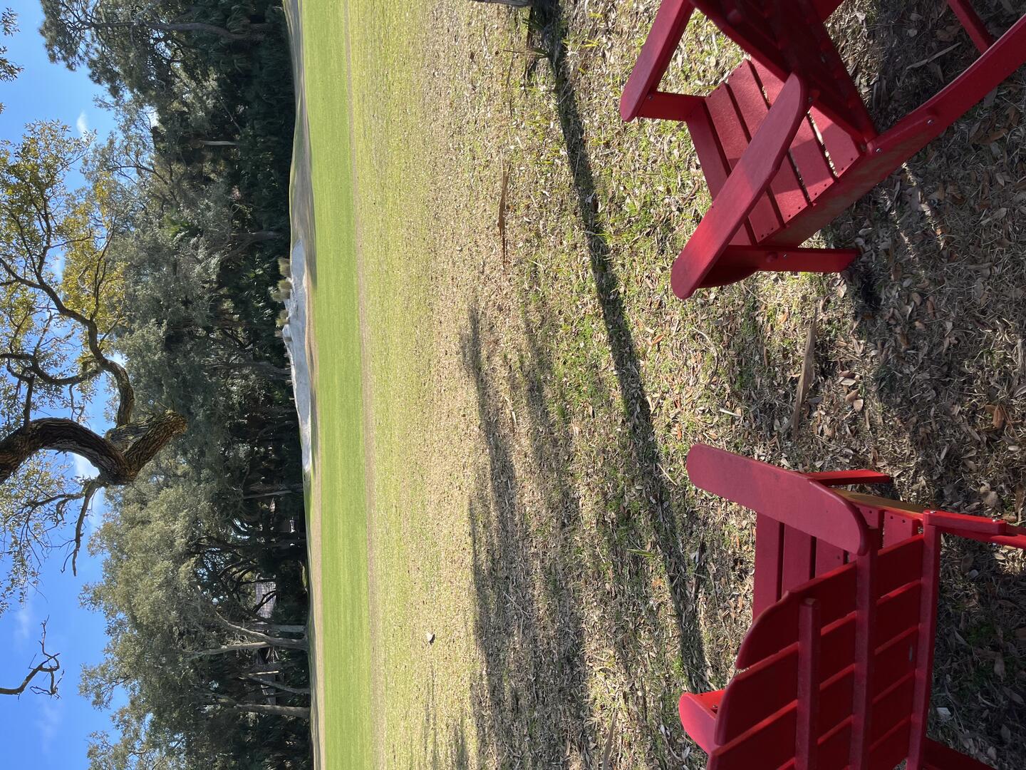 559 Remora | Photo 22