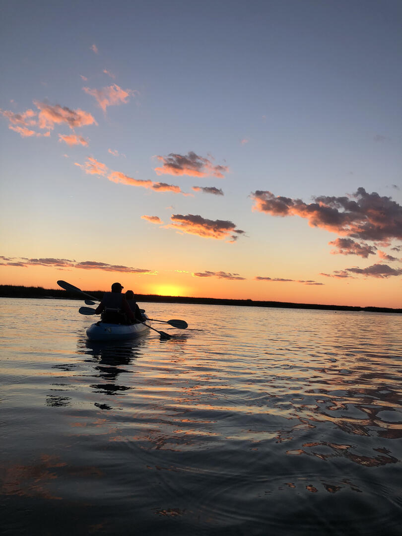 559 Remora | Photo 39