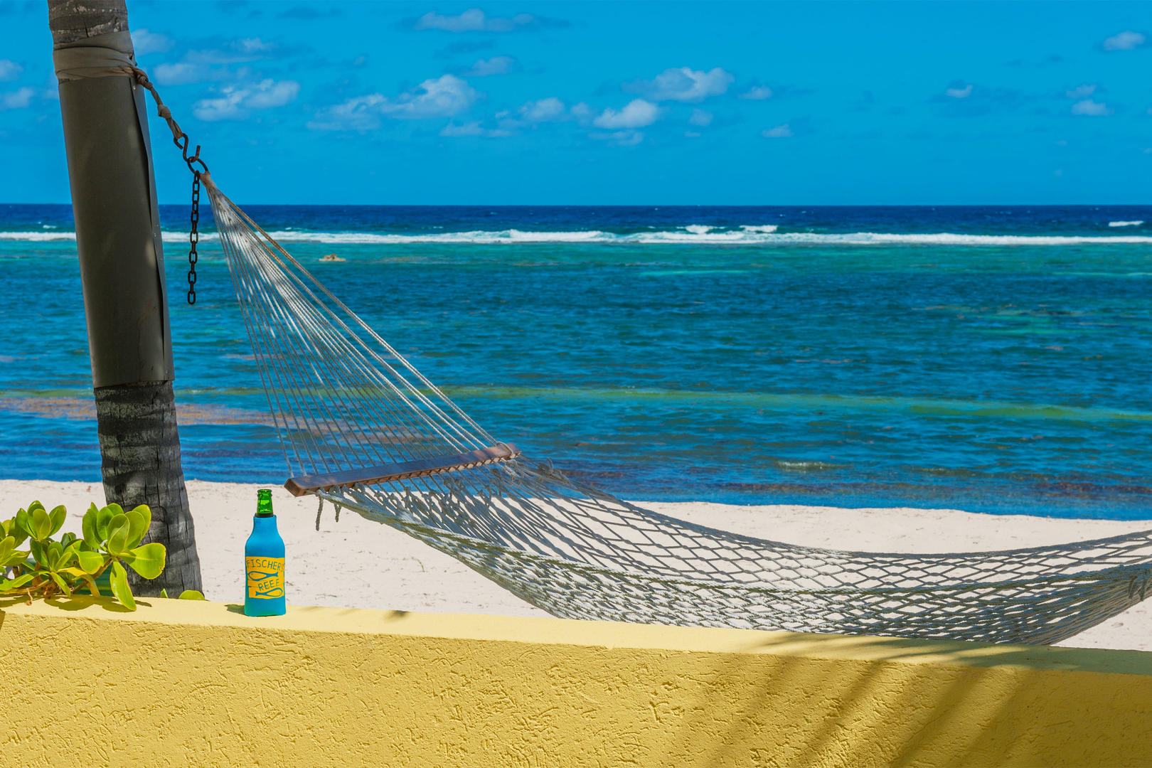 Enjoy beautiful ocean views from your hammock.