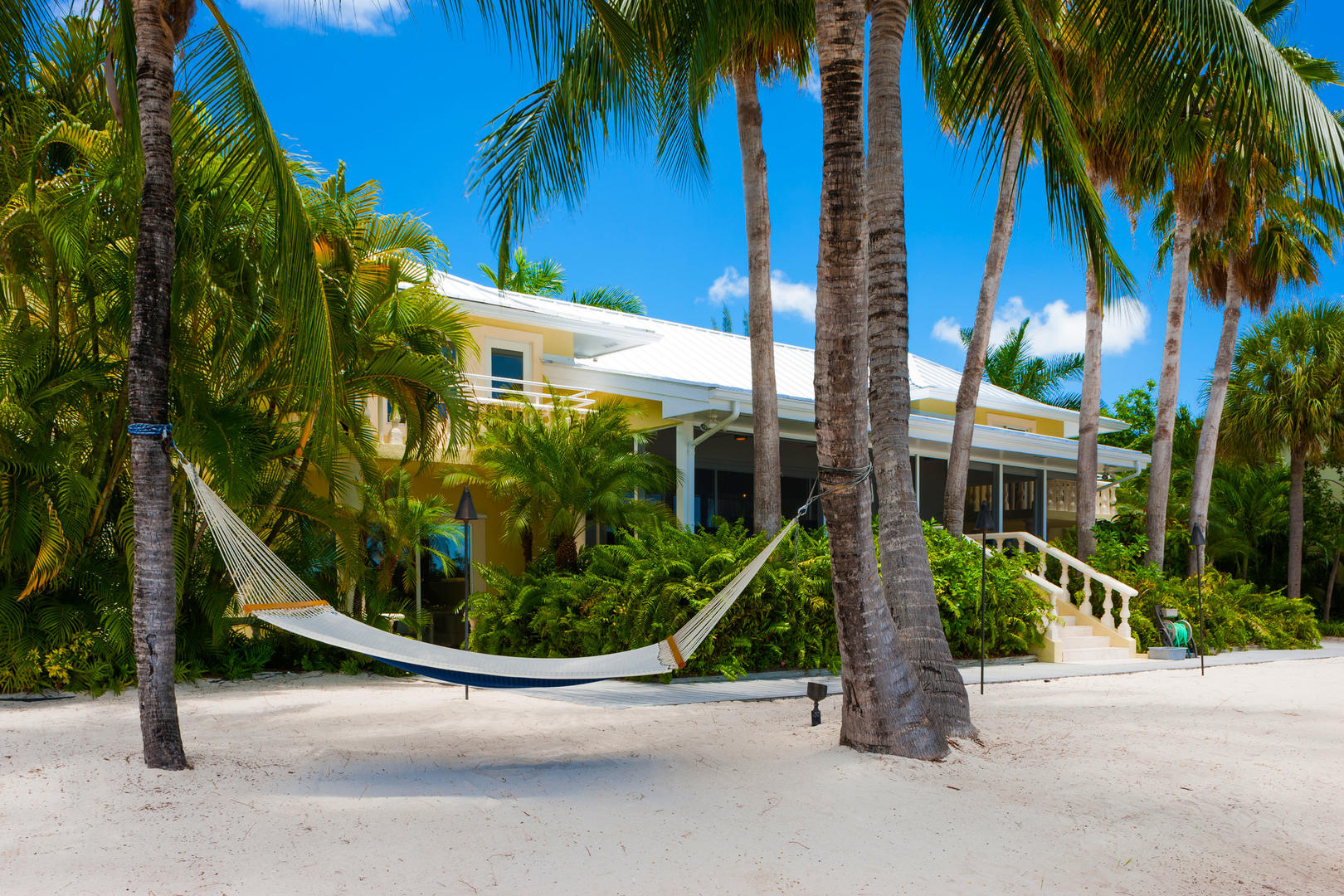 Relax in the hammock under the trees. Perfect for an afternoon catnap.
