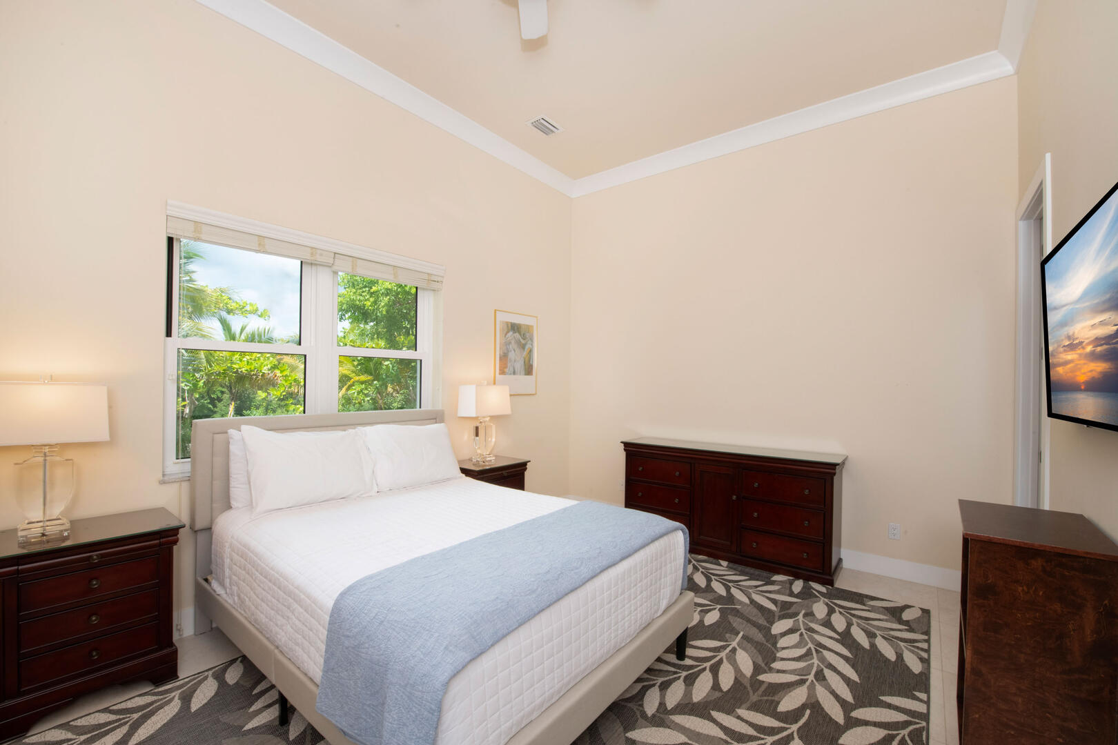Guest Suite #6 with queen bed and television. 