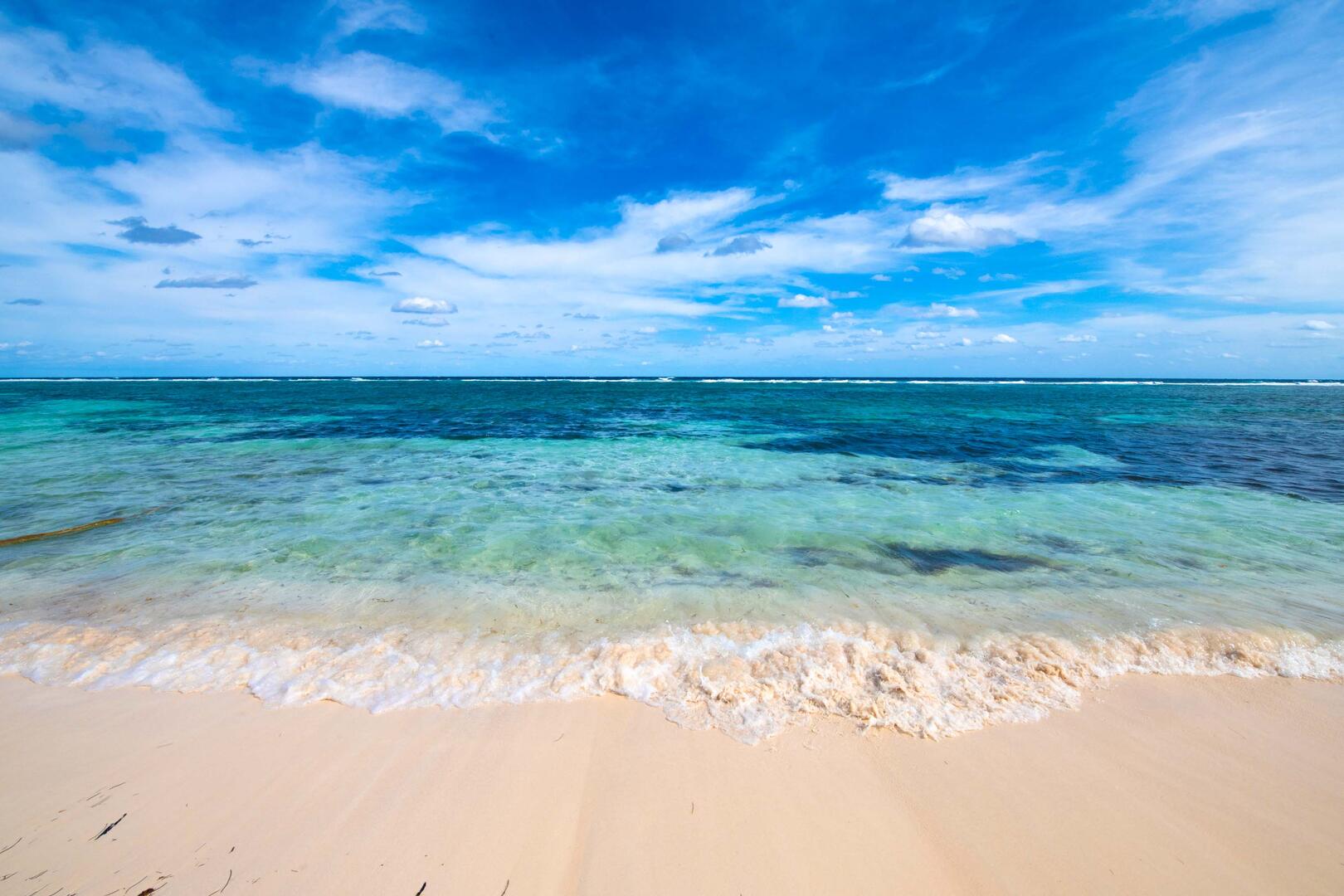 Where the ocean meets the land. 