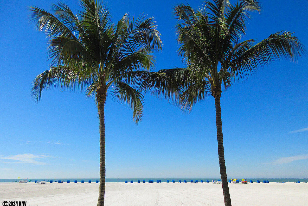 Sandarac enjoys a huge beachfront in their backyard! 7 miles of sugar sand beaches and turquoise blue Gulf waters