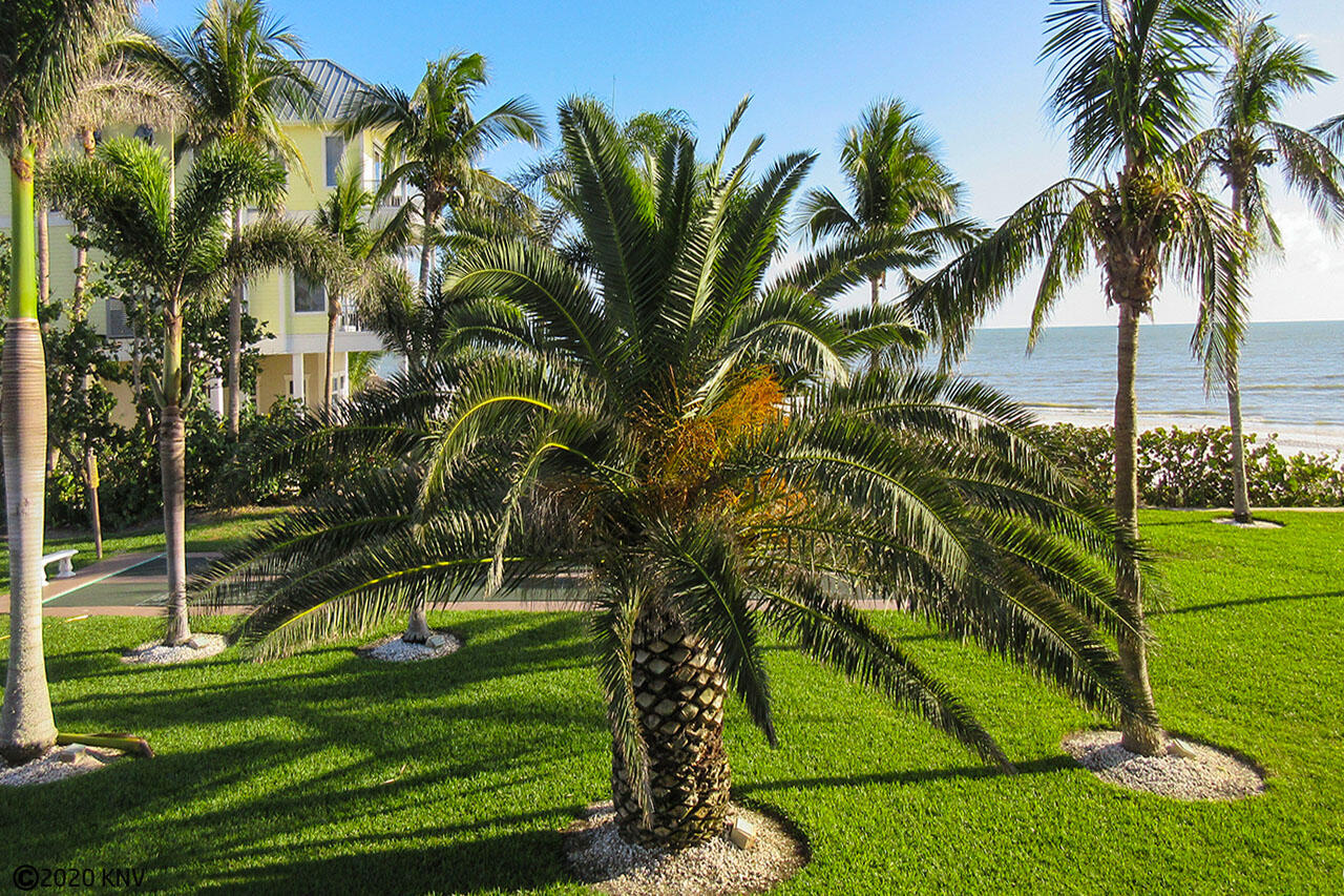 Palm Trees and Gulf Breezes at Smugglers Cove