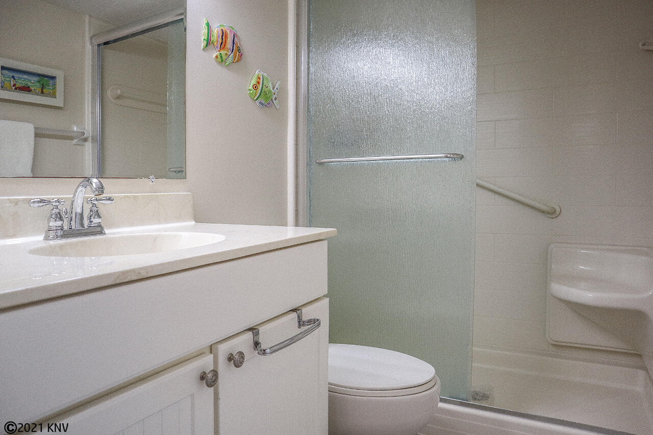 Guest Bath has walk in shower