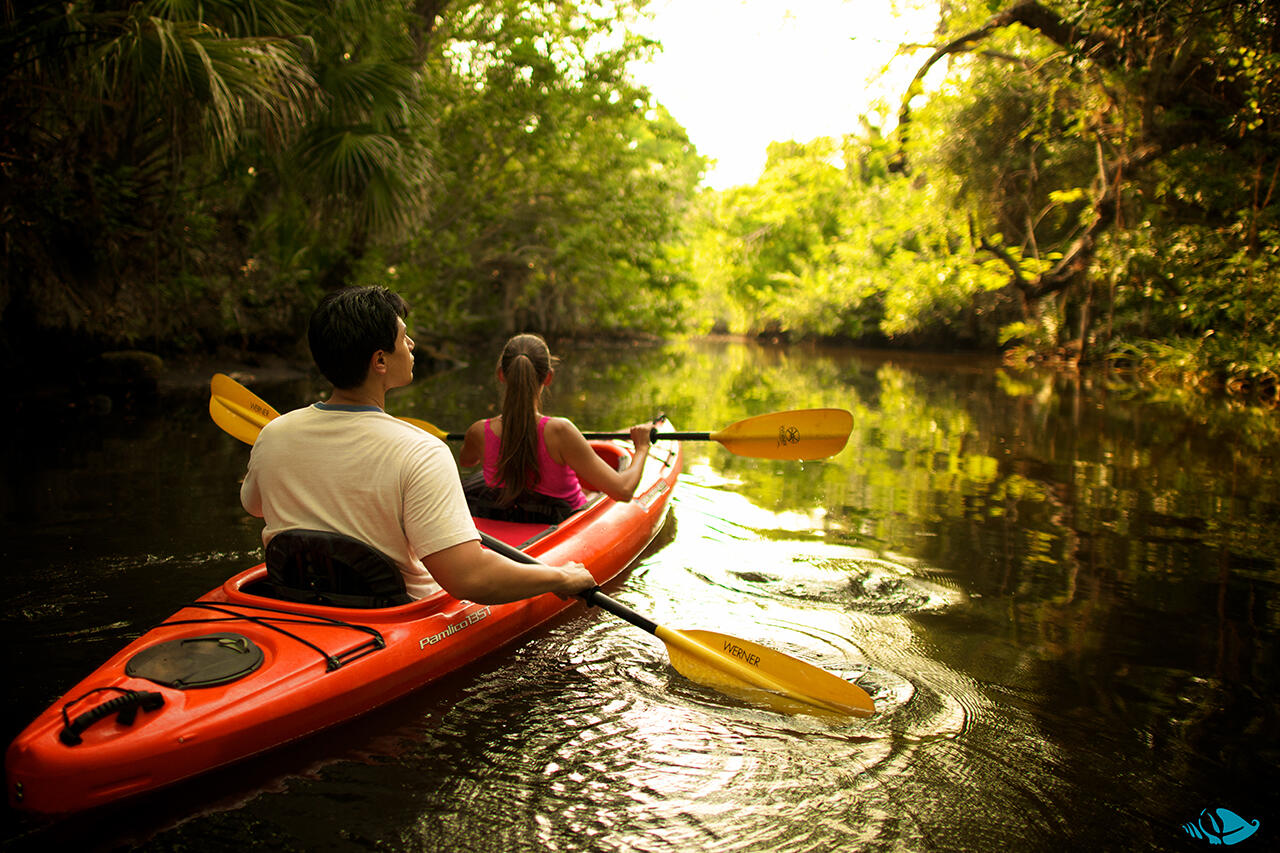 Explore the Great Calusa Blueway - a nearly 200-mile marked canoe and kayak trail that meanders through the coastal back bay waters and inland tributaries.