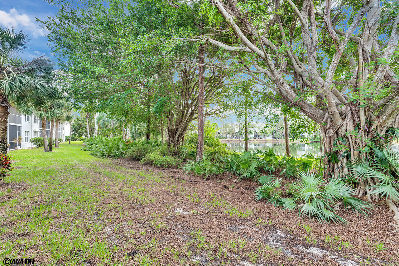 A rare Banyan tree on the edge of a beautiful Lake is your view from your Lanai...relax and enjoy our gorgeous weather