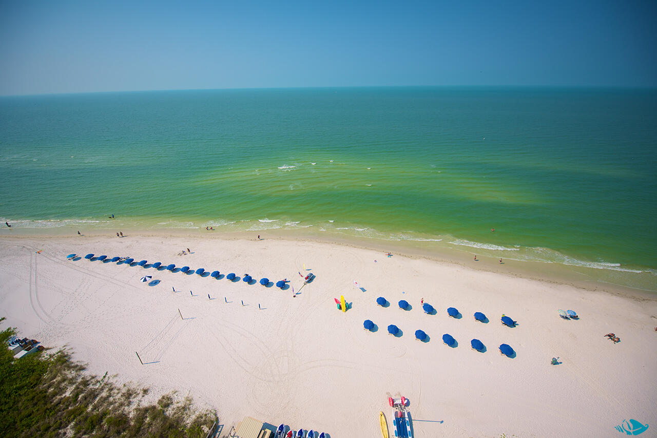 Seven miles of sugar white sand and turquoise blue Gulf waters