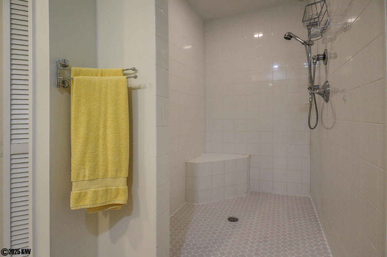 Master Bath Walk In Shower