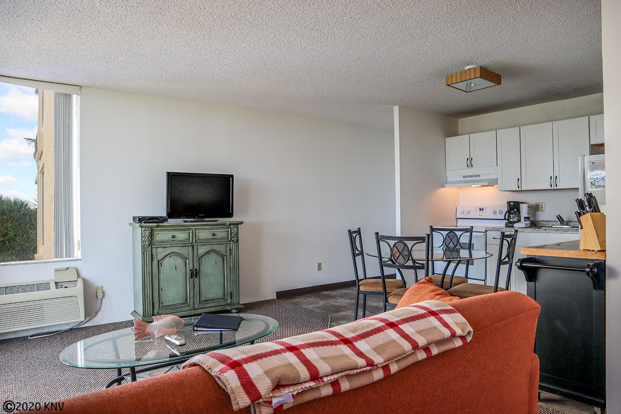 There is a flat screen TV and sleeper sofa.