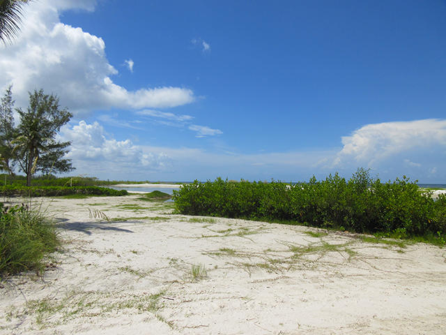 Eden House Beach