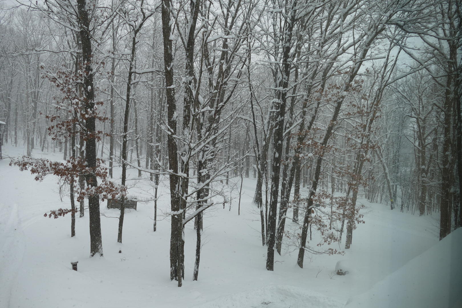 view out back - Winter