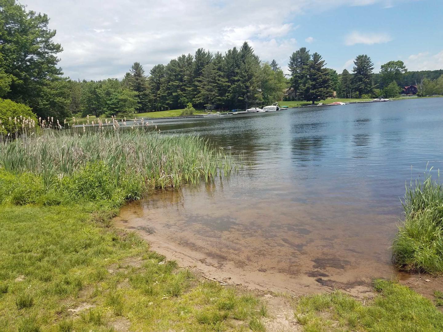Community lakefront access