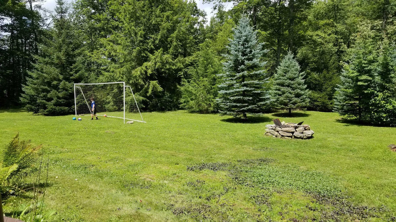 Large level yard. Goal Net