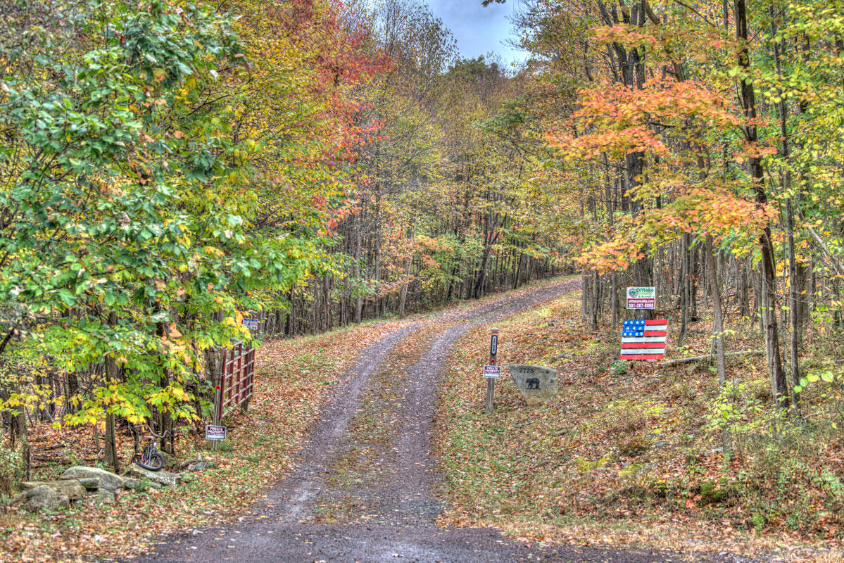 driveway - Autumn.