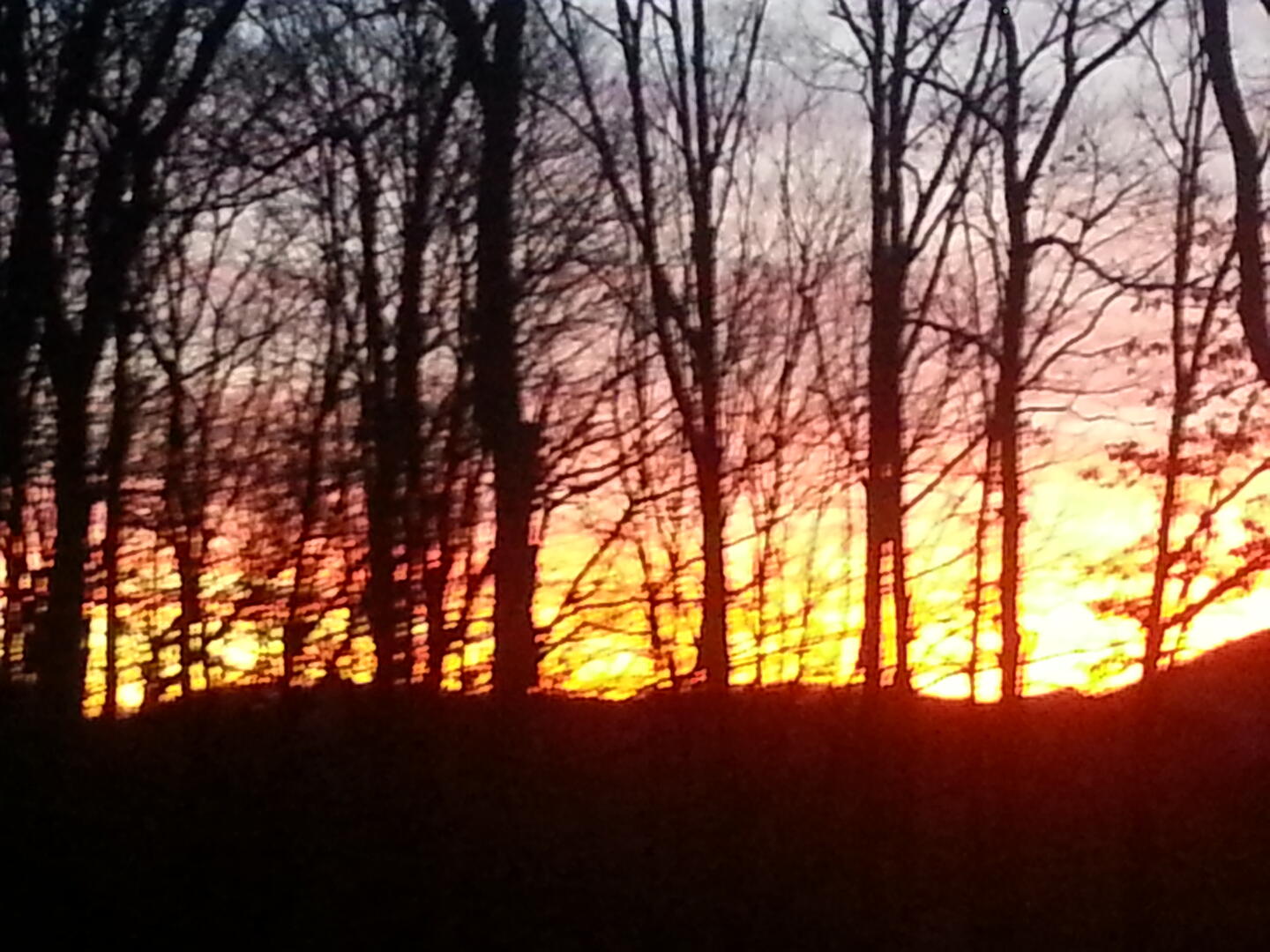 Fall Sunsets