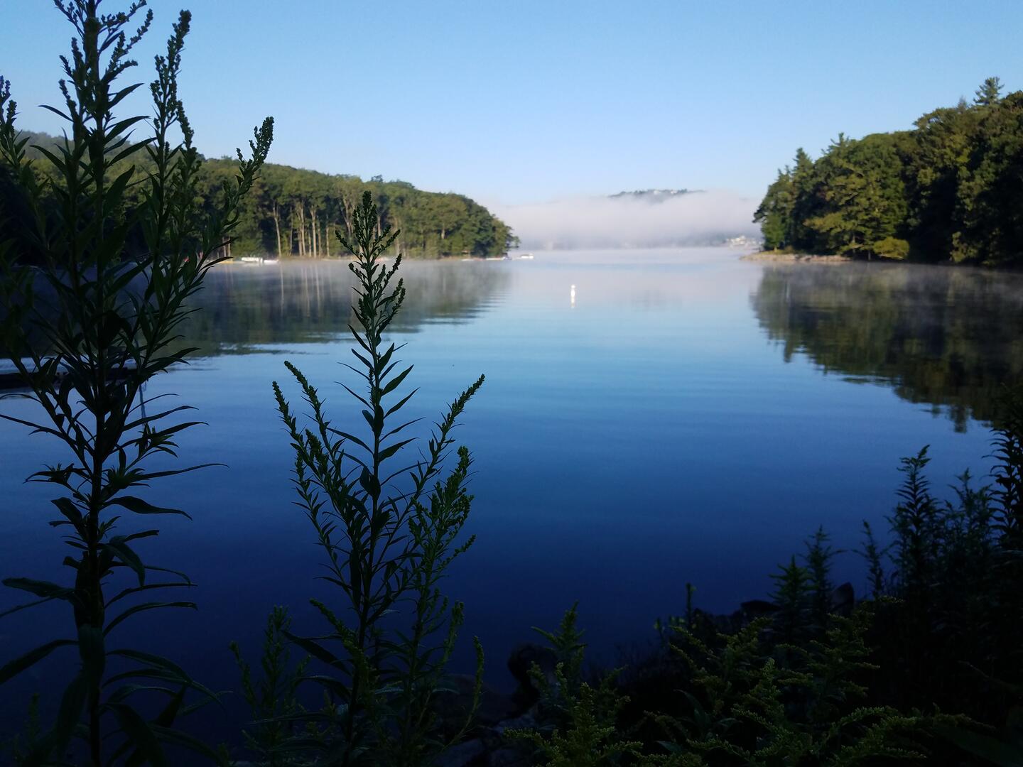 Morning lake cove